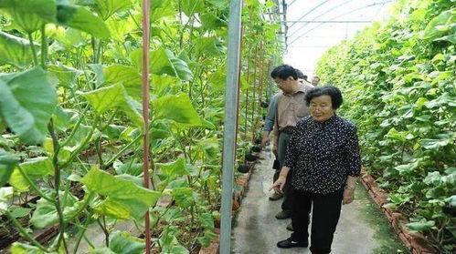 吃瓜娱乐蜀黍是谁的徒弟,他的徒弟是谁，背后有何故事？