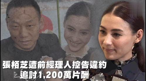 娱乐吃瓜用的配音是什么,幕后声音的艺术魅力