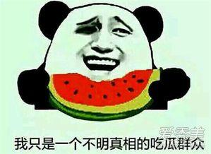 娱乐圈吃瓜群众啥意思,幕后真相大曝光