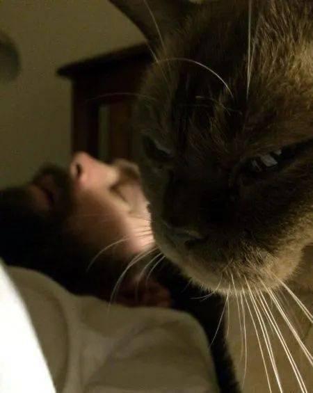 猫猫永不为奴娱乐吃瓜酱,娱乐吃瓜界的逆袭传奇