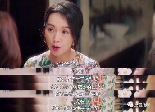 吃瓜讲娱乐圈的直播,娱乐圈的实时八卦盛宴