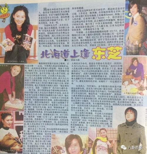 娱乐圈吃瓜爆料小说推荐,跟随小说吃瓜达人，畅游八卦海洋