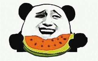 娱乐吃瓜酱抓鸡视频下载,揭秘娱乐圈幕后趣闻