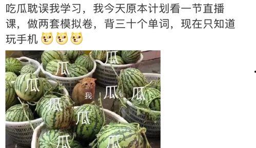 娱乐圈吃瓜大全421,揭秘娱乐圈背后的惊人真相与幕后故事
