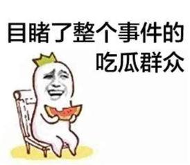 娱乐吃瓜酱肥肥猪的日常,笑料百出，趣味横生