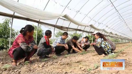 娱乐吃瓜视频封面怎么做,如何抓住眼球，吸引观众