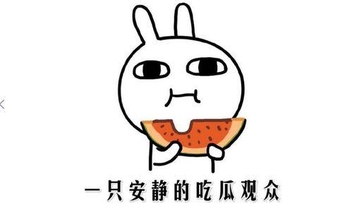 娱乐圈吃瓜的正确方法,轻松解锁明星八卦的正确姿势