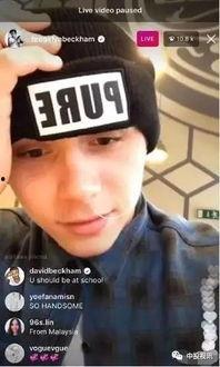 吃瓜娱乐圈直播视频大全