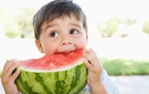 娱乐吃瓜酱喂西瓜小说,娱乐吃瓜酱的西瓜奇遇记